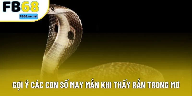 Gợi ý các con số may mắn khi thấy rắn trong mơ Gợi ý các con số may mắn khi thấy rắn trong mơ