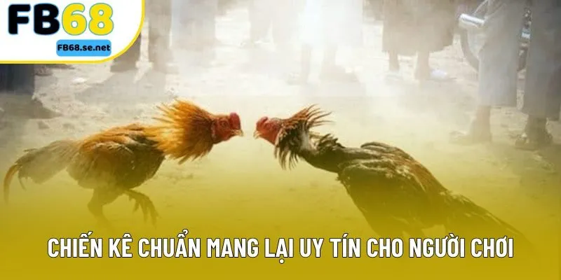 Chiến kê chuẩn mang lại uy tín cho người chơi Chiến kê chuẩn mang lại uy tín cho người chơi
