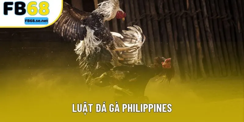 Luật Đá Gà Philippines: Nắm Rõ Để Tối Ưu Cơ Hội Thắng Lớn Tại FB68